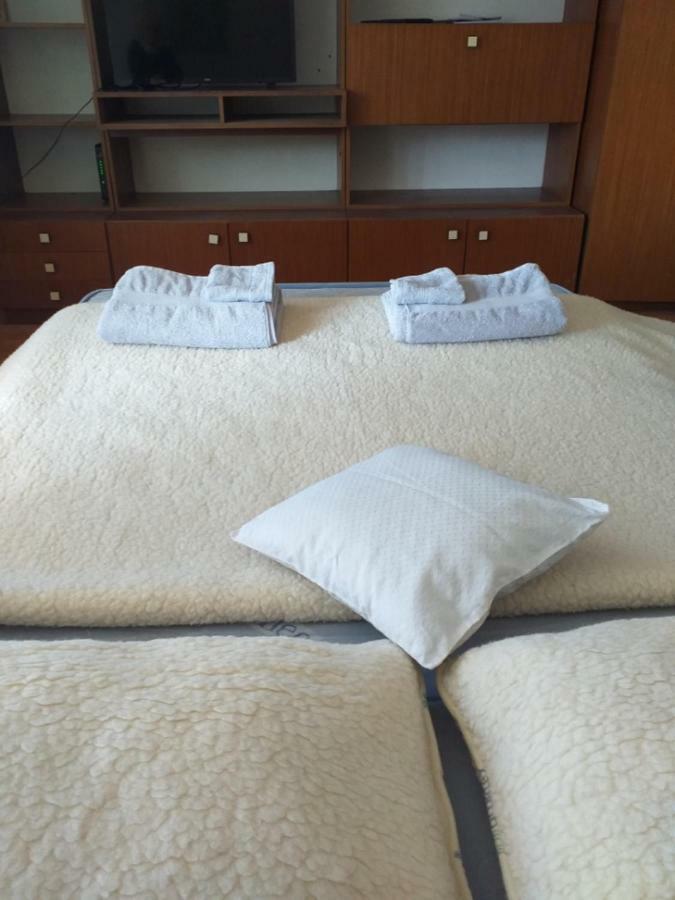 Apartment Primceva Марибор Екстериор снимка