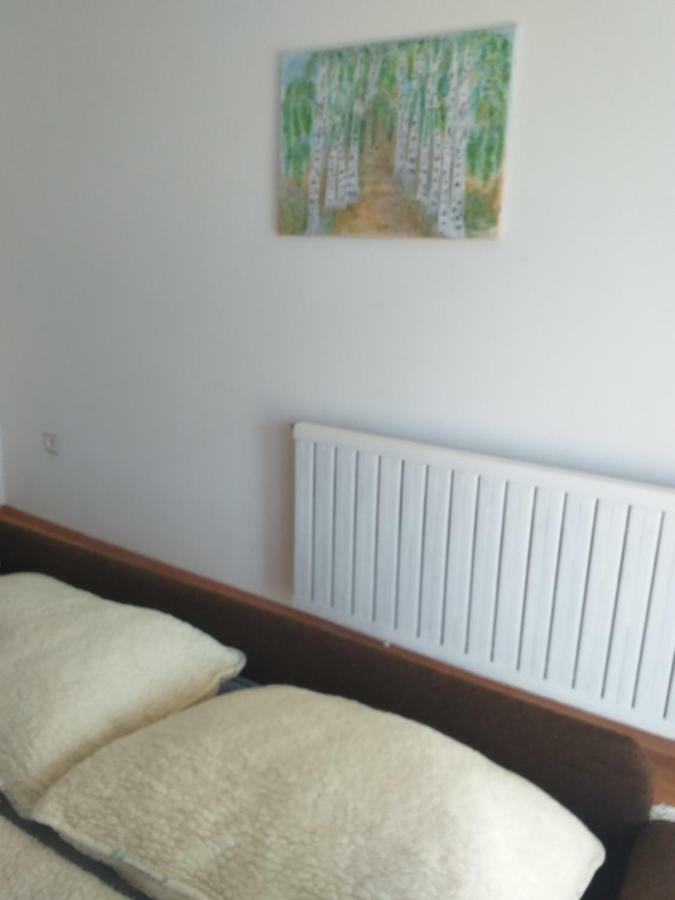Apartment Primceva Марибор Екстериор снимка
